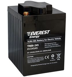 Everest TNE 6-245 (6 В, 200 А/ч) - гелевый тяговый аккумулятор - фото 14425