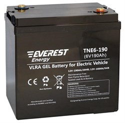 Everest TNE 6-190 - тяговый аккумулятор - фото 16317