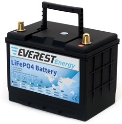 Everest Energy LFP-24V40Аh - литиевый тяговый аккумулятор - фото 16362