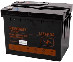 Everest Energy LFP-24V80Аh (Bluetooth) - литиевый тяговый аккумулятор - фото 16373