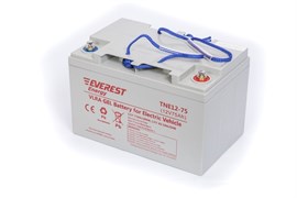 Everest TNE12-75 - Тяговый аккумулятор, GEL