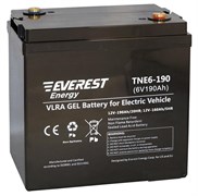 Everest TNE 6-190 - тяговый аккумулятор